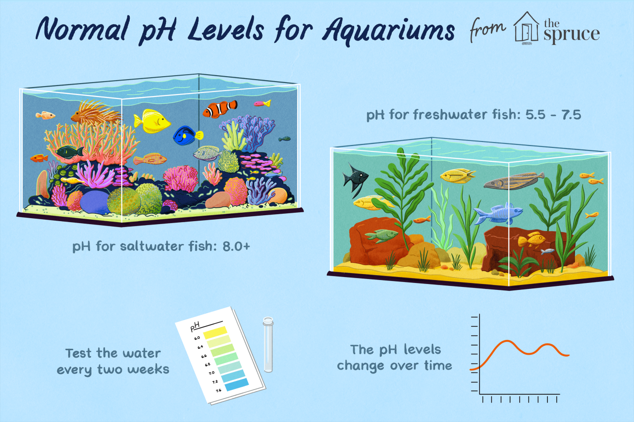 How to lower ph in fish tank