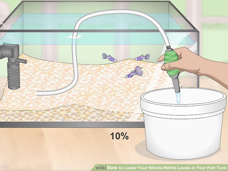 How to lower nitrates in fish tank