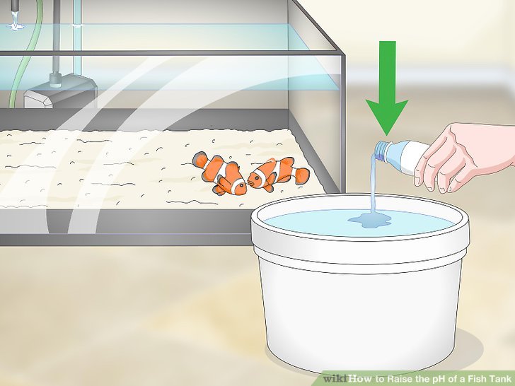 How to Lower PH in Aquarium Safely and Naturally