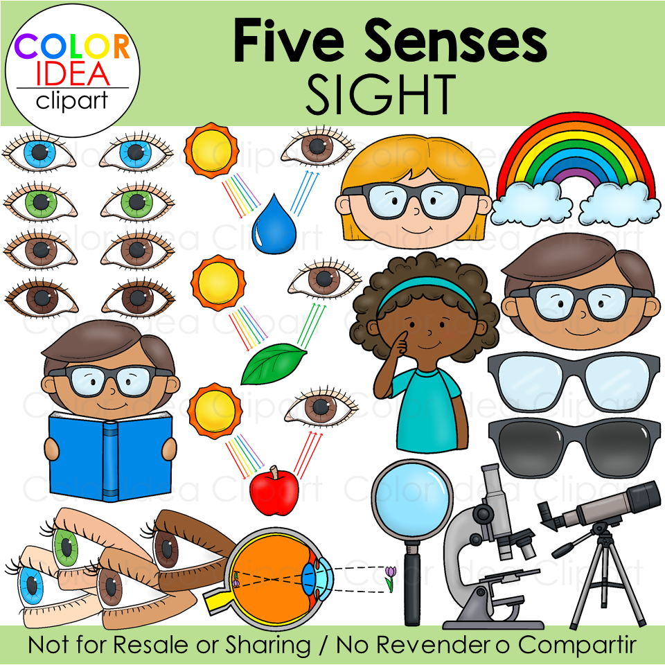 Five Senses - Sight | Made By Teachers