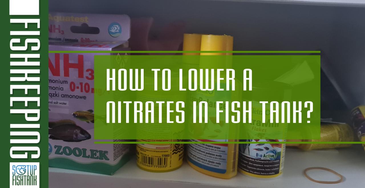 How to lower a nitrates in fish tank? - Setup Fish Tank