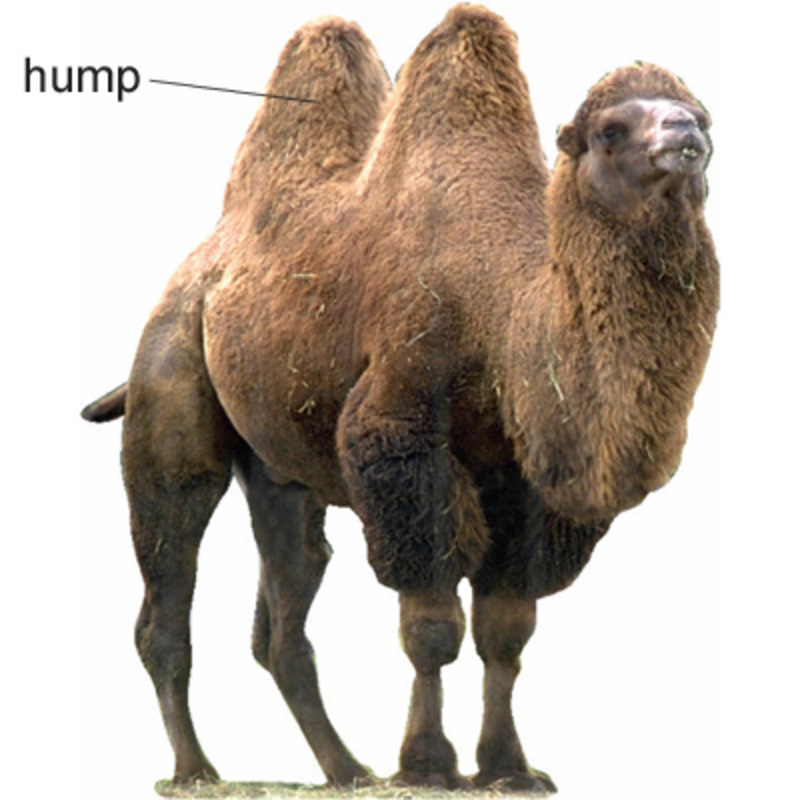 How to Get Over the Three Date Hump | Ladyclever How to Get Over the Three Date Hump | Ladyclever