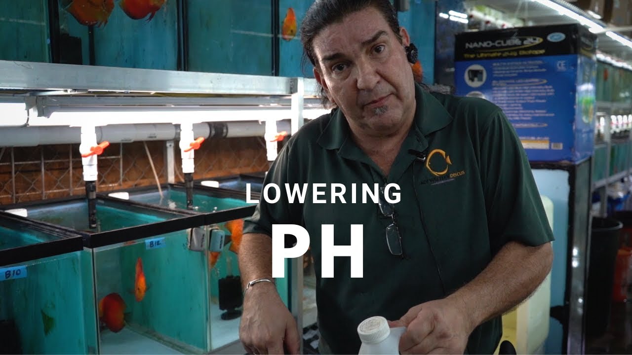 How to Lower pH in an Aquarium - Fish Laboratory
